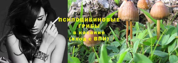 ECSTASY Покров